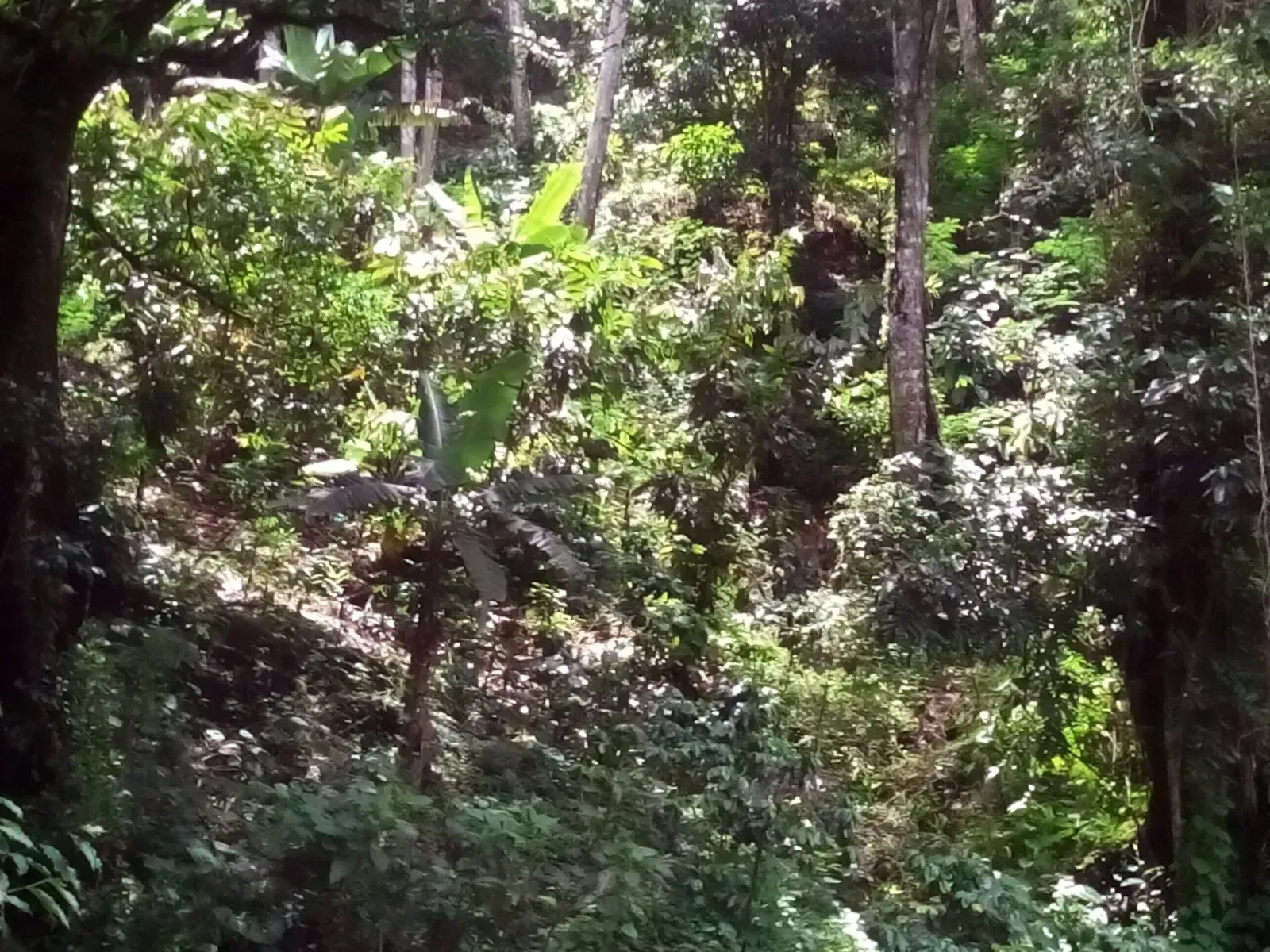 Finca en Monseñor Nouel