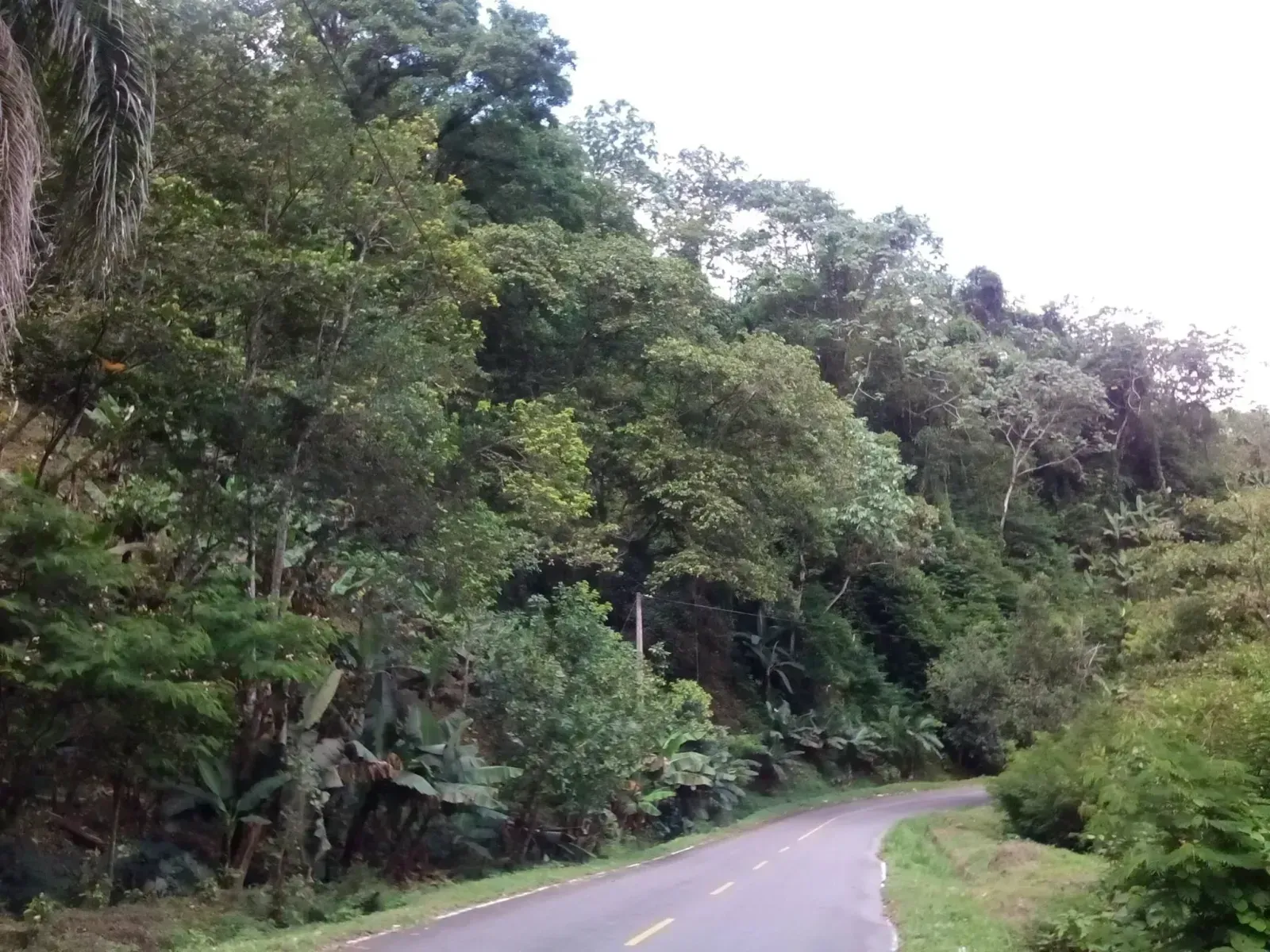 Finca en Monseñor Nouel